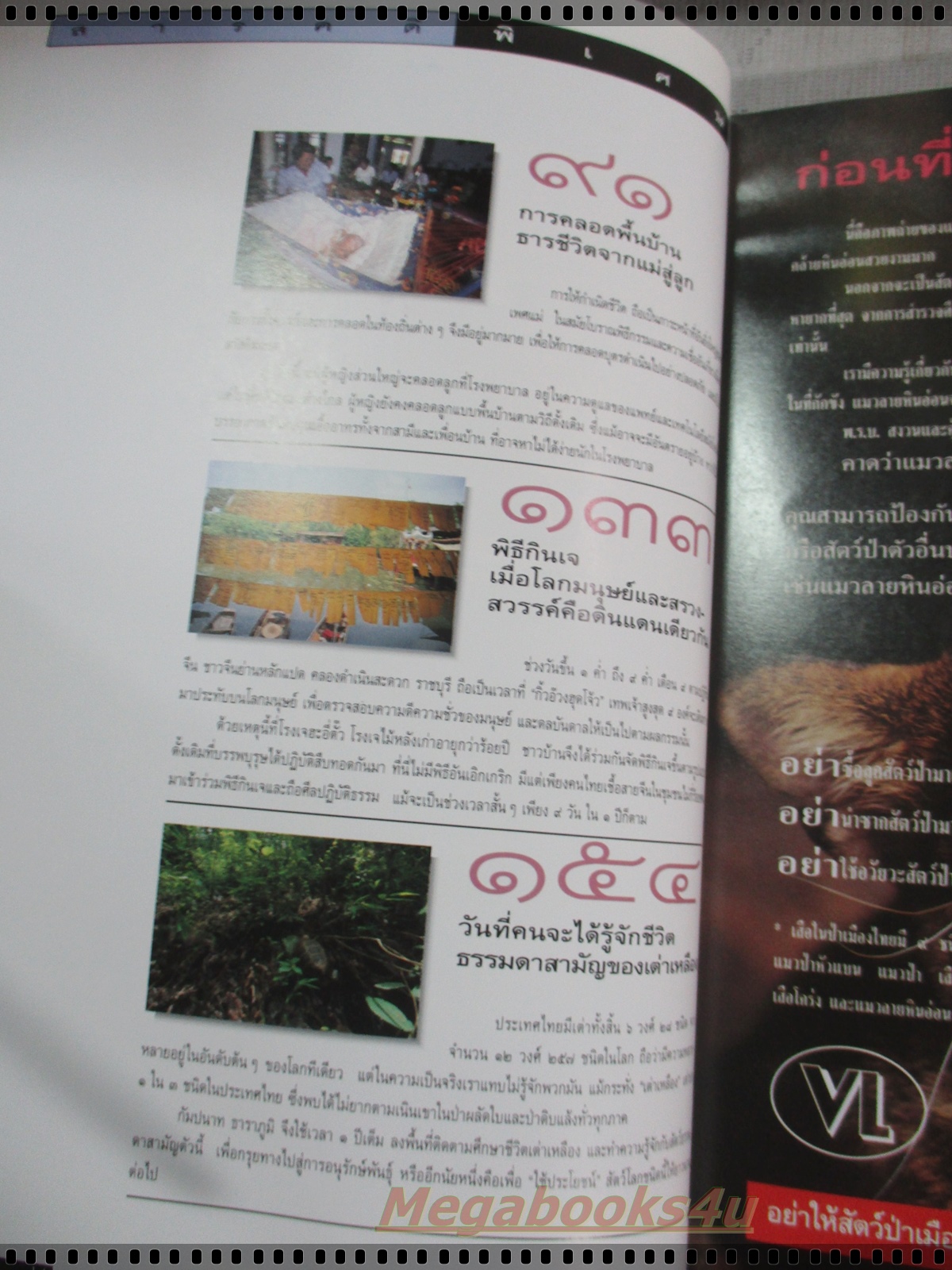 นิตยสารสารคดี ฉบับที่141 พฤศจิกายน 2539 หมอตำแย,กินเจ,เต่าเหลือง,ไอเรียน จายา