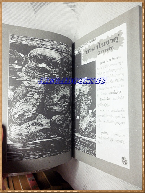 OB6006;หนังสือเรื่องสั้น ตำนานผีญี่ปุ่นเล่ม3 แปลโดยนกฮูกหมึกจีนสภาพดี