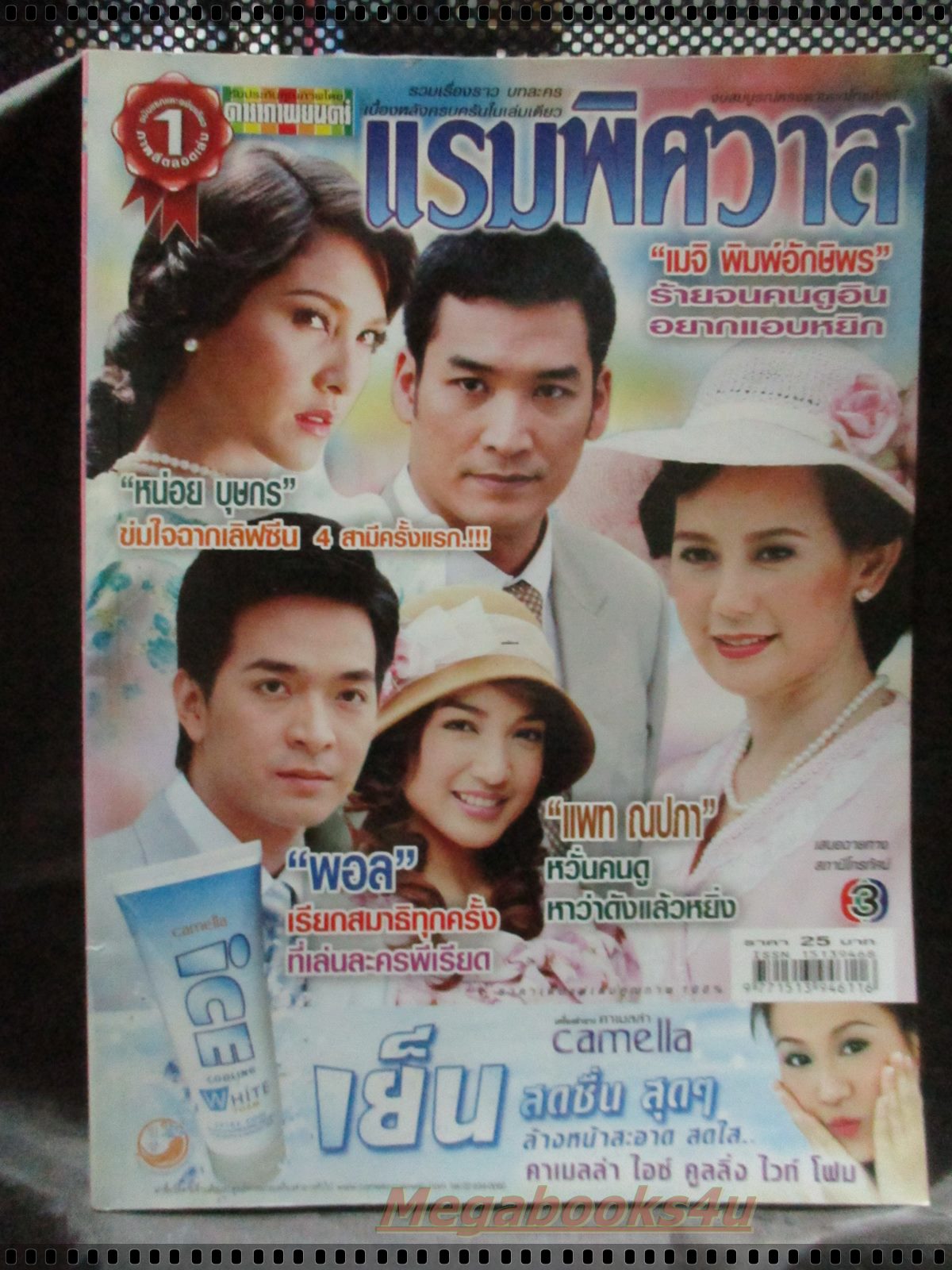 เรื่องย่อละคร แรมพิศวาส โดย แพท ณปภา หน่อย บุษกร ปี2550