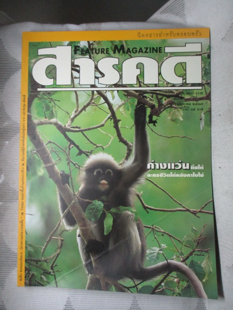 นิตยสารสารคดี ฉบับที่114 สิงหาคม 2537 ค่างแว่นถิ่นใต้,ข่มขืน,หมอยาพื้นบ้าน,ระนอง