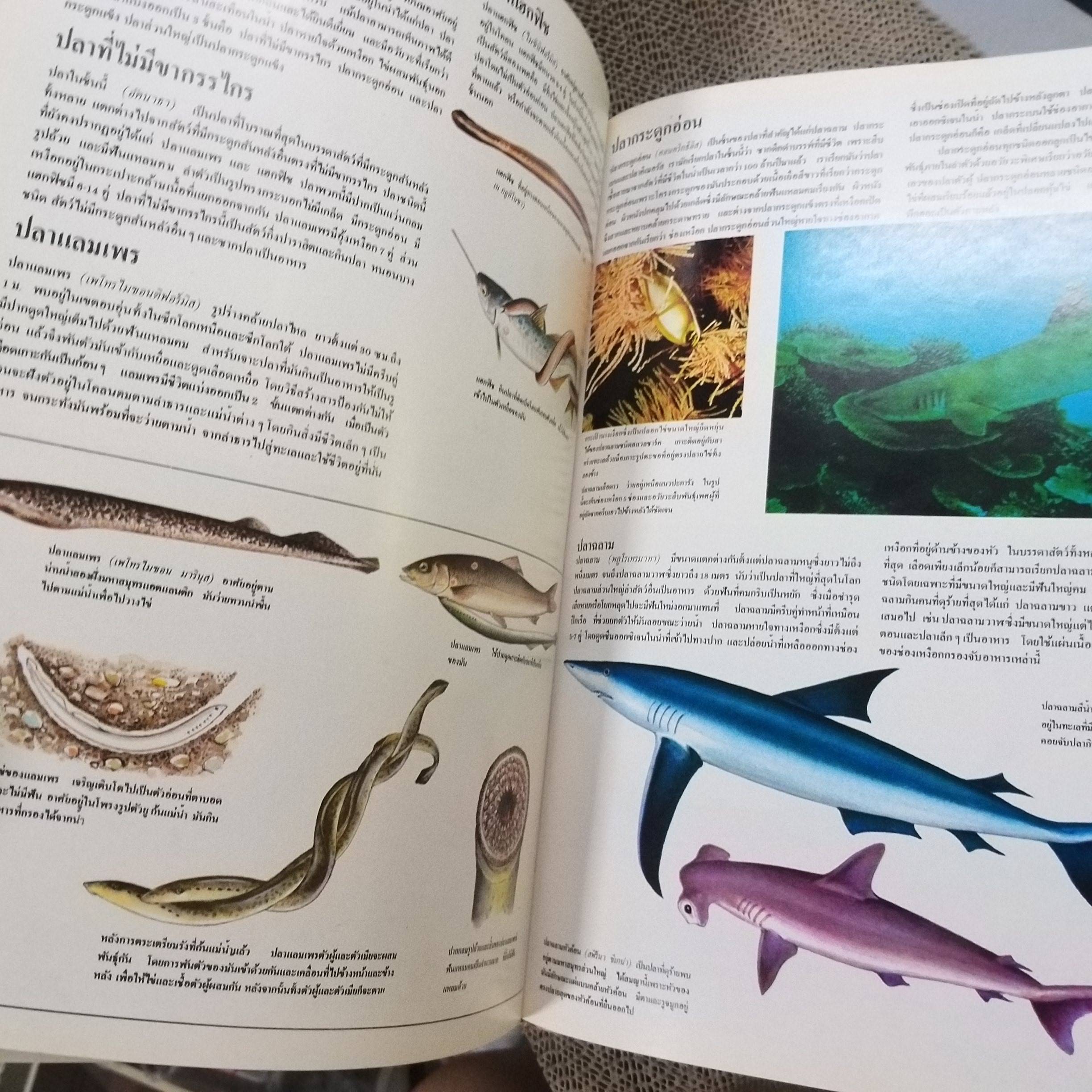 ขุมทรัพย์ความรู้สำหรับเด็ก เรื่อง สัตว์น้ำ สภาพดี มีจุดเหลืองประปรายตามเวลา