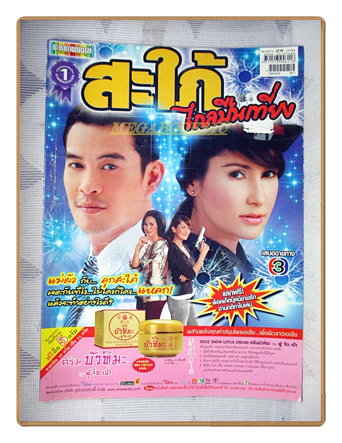เรื่องย่อละครโทรทัศน์ สะใภ้ไกลปืนเที่ยง ปี2552 ชาคริต แย้มนาม แอน ทองประสม