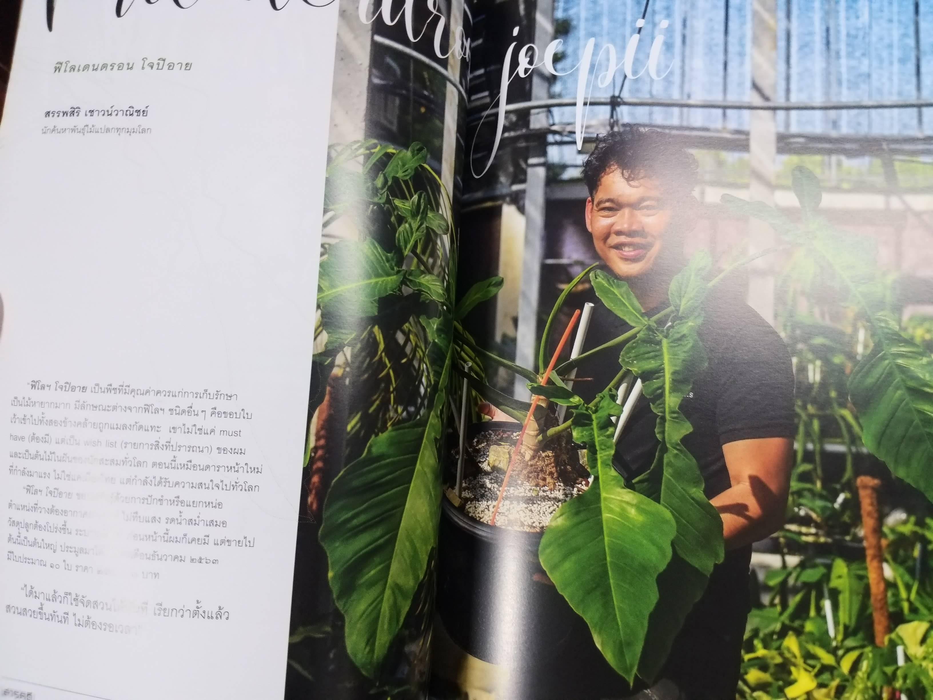 นิตยสารสารคดี ฉบับที่431 ปี2564 ไม้ใบที่รัก / ม่าเมี่ยว มนุษย์ประหลาด /