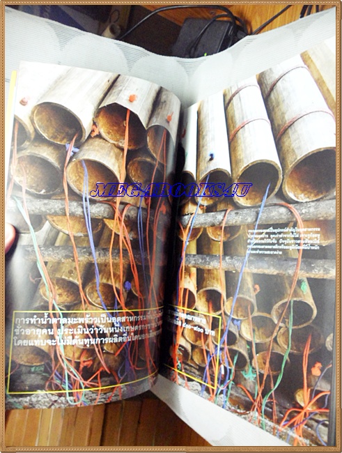 นิตยสารสารคดี ฉบับที่319 ปีที่27 ก.ย.2554,มะพร้าว,ธรรมศาลา,เที่ยวสงขลา,หน้าปกมีรอยเปื้อน สภาพดี