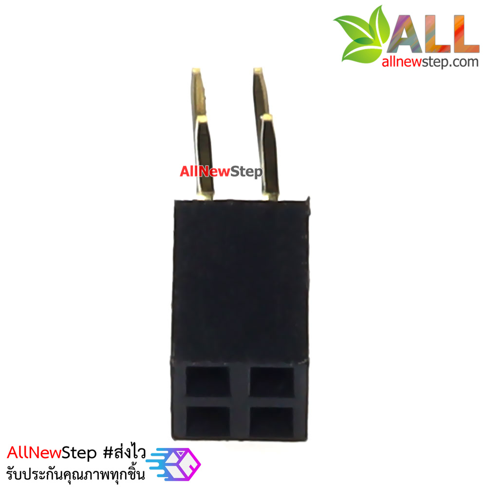 ขาก้างปลาตัวเมียแบบฉาก 2x2 ขา Double Row Hole Jack 2x2 PIN Header 2.54mm
