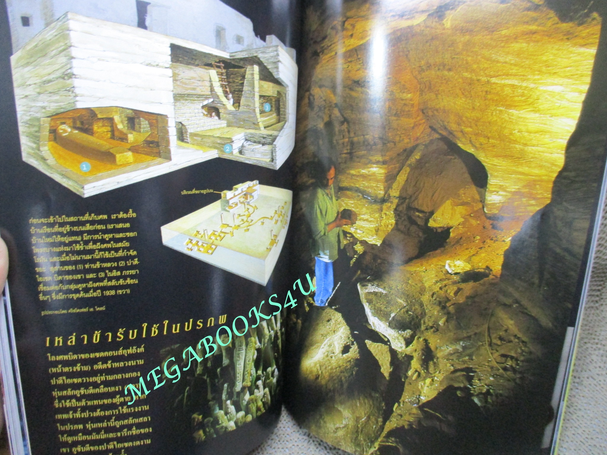 นิตยสาร เนชั่นแนลจีโอกราฟิก National Geographic ฉบับ02 กันยายน ปี2544 วอลรัส, สุสานอียิปต์