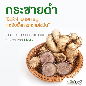 Cho12 โช ทเวลฟ์ by เนย โชติกา
