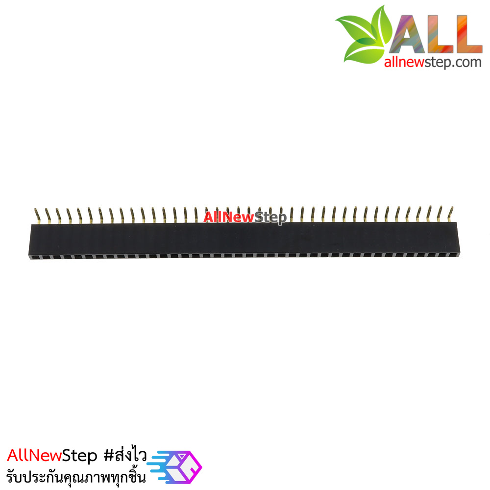 1x40 Pin 2.54mm Pin 90 degree Female Pin Header Connector