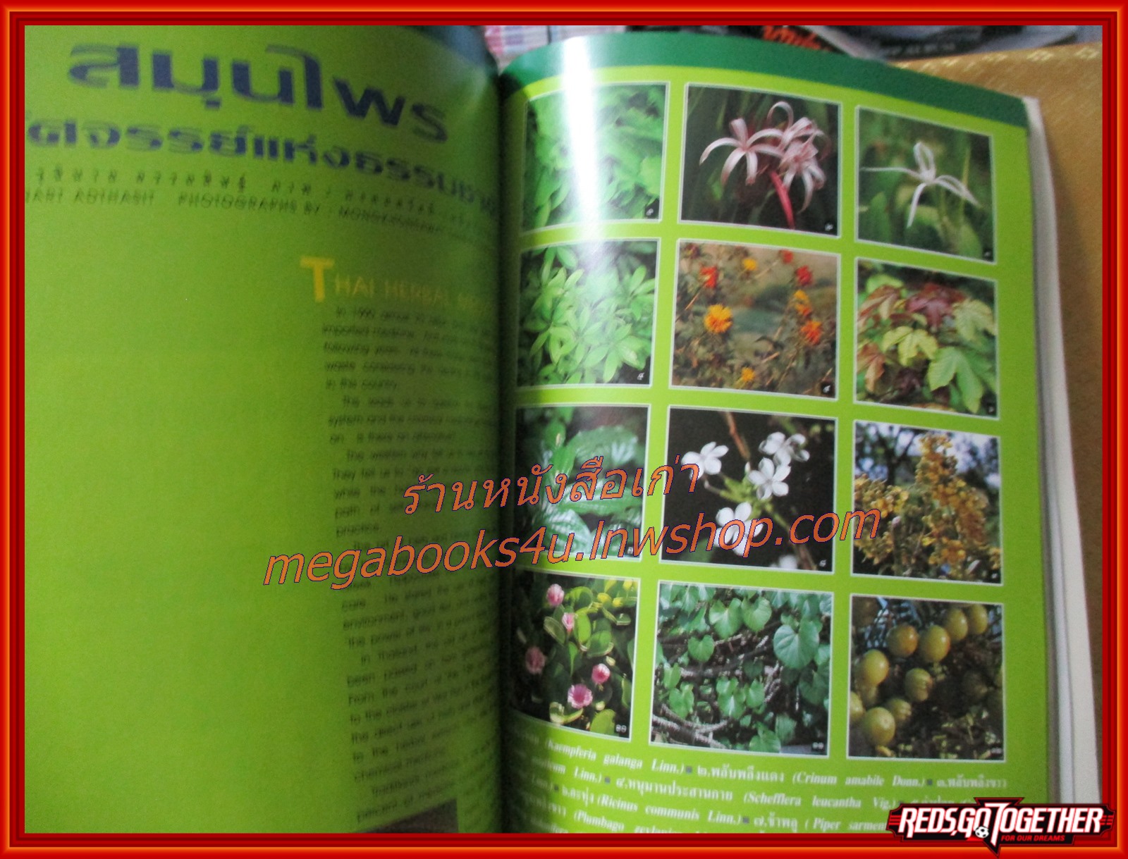 นิตยสารสารคดี ฉบับที่091 ปี2535 100ปี อ.ศิลป์ พีระศรี,ช้างตกเหว,สมุนไพร,เที่ยวพิษณุโลก,