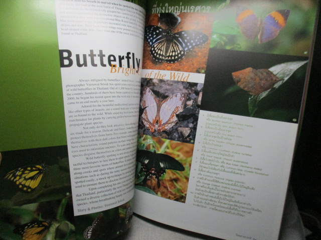 นิตยสารสารคดี ฉบับที่232 ปีที่20 2547 คนเป่าแก้ว,ผีเสื้อที่ทุ่งใหญ่ฯ,ระบบโซตัส,ภาพเขียนก่อนประวัติศาสตร์