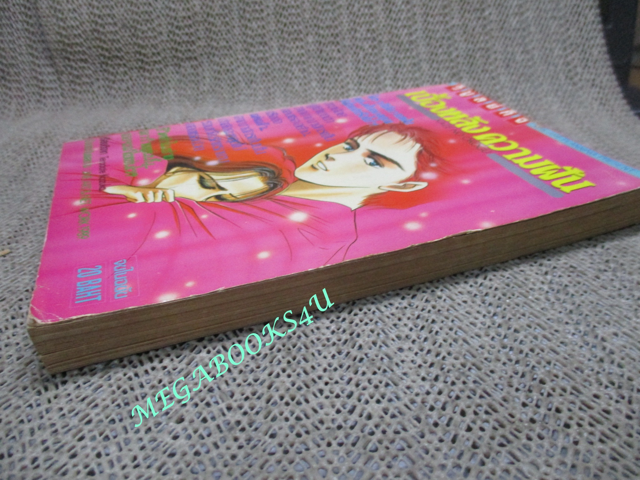 การ์ตูนบ้าน เบื้องหลังความฝัน / เล่มเดียวจบ / วิบูลย์กิจ /