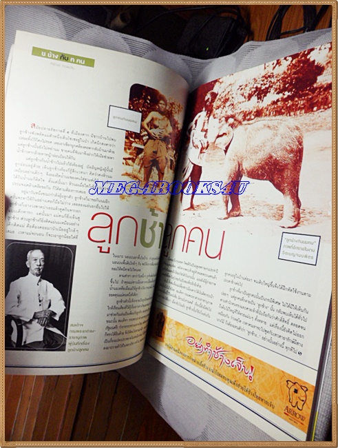 นิตยสารสารคดี ฉบับที่249 ปีที่21 พ.ย. 2548,พลังงานทางเลือก,ท่องซาฟารีที่เคนยา,เที่ยวพิจิตร สภาพดี