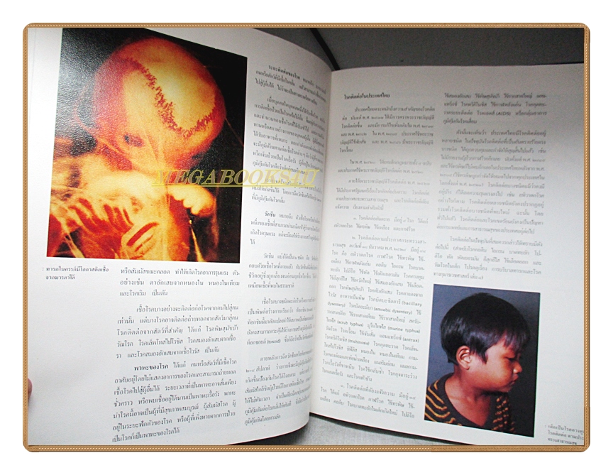 สารานุกรมไทยสำหรับเยาวชน เล่ม10 โดยพระราชประสงค์ในพระบาทสมเด็จพระเจ้าอยู่หัว