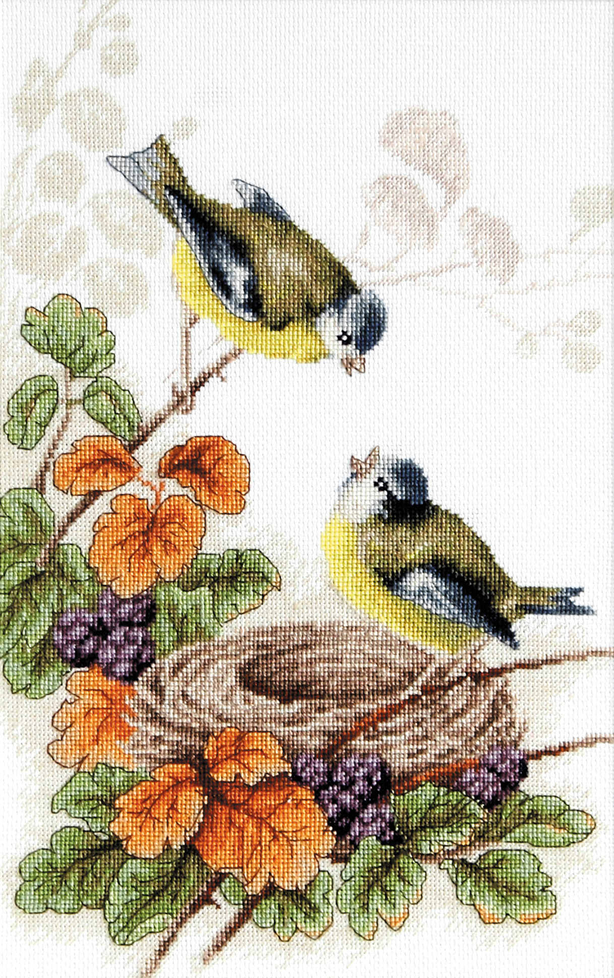 Luca-S Birds in nest