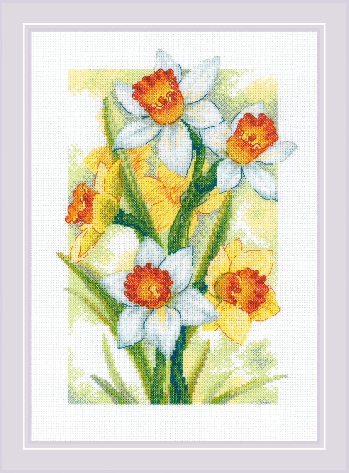 Riolis ชุดปักครอสติช Spring Glow. Daffodils