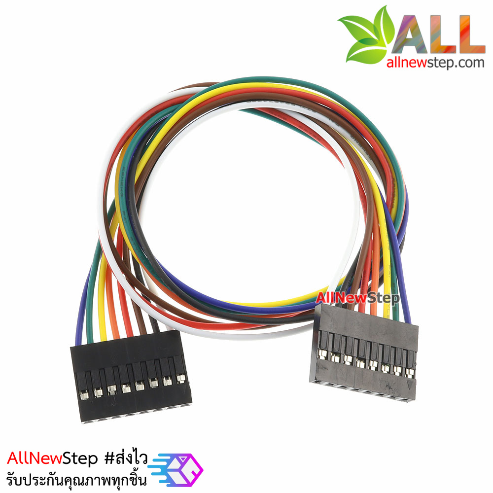 Jumper Wire 8P Female to Female สายไฟจัมเปอร์ เมีย-เมีย 8 เส้น