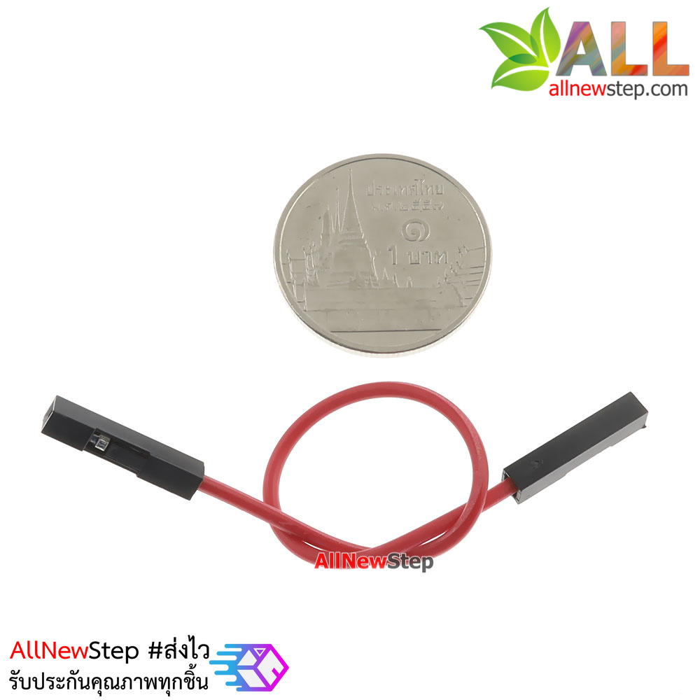 สายจัม เมีย-เมีย Jump Wire (Female to Female) สายไฟ ยาว 20cm. คละสี จำนวน 1 เส้น