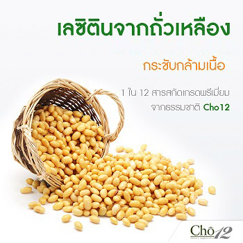 Cho12 โช ทเวลฟ์ by เนย โชติกา