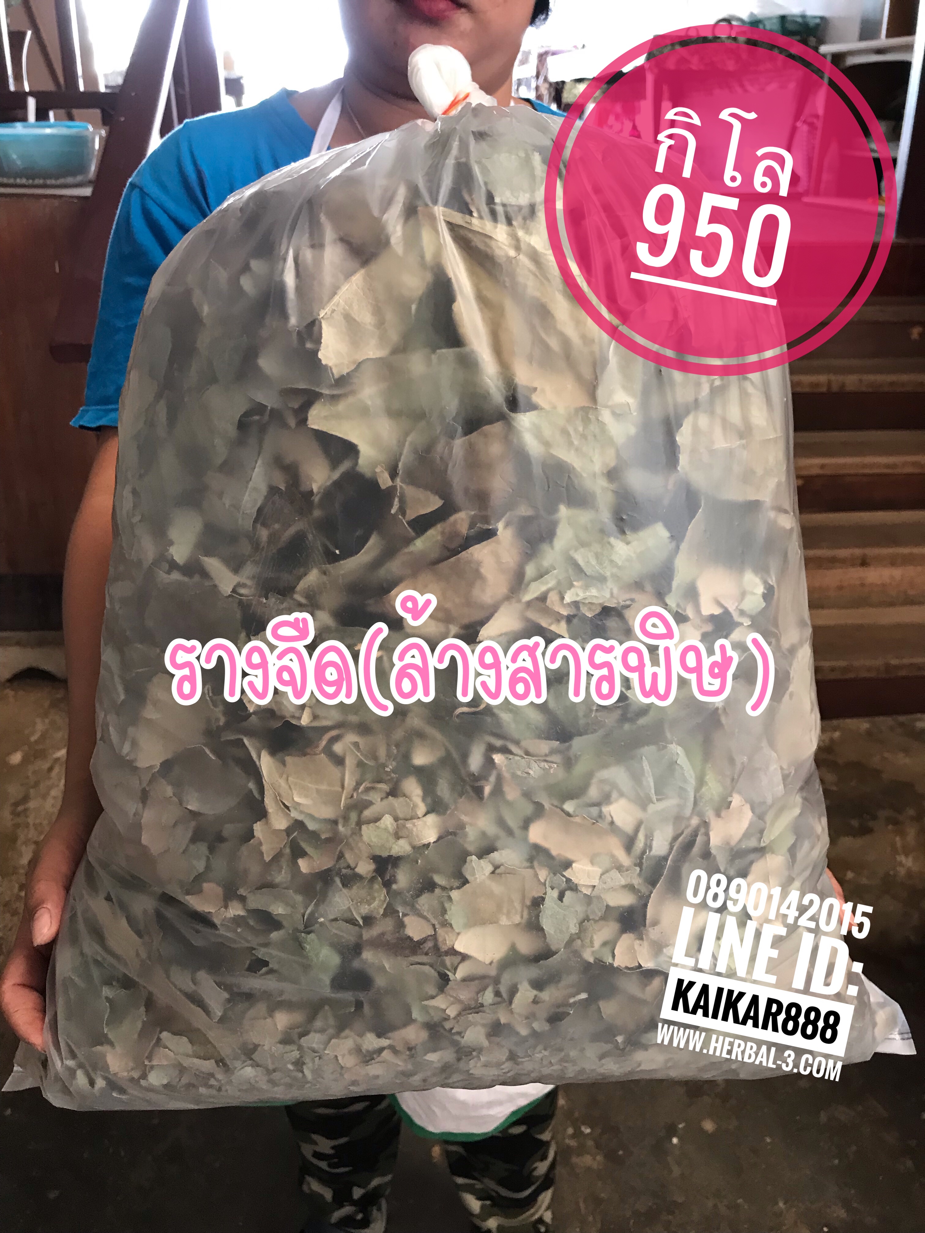 ชารางจืด (ใบอบแห้ง กิโล)