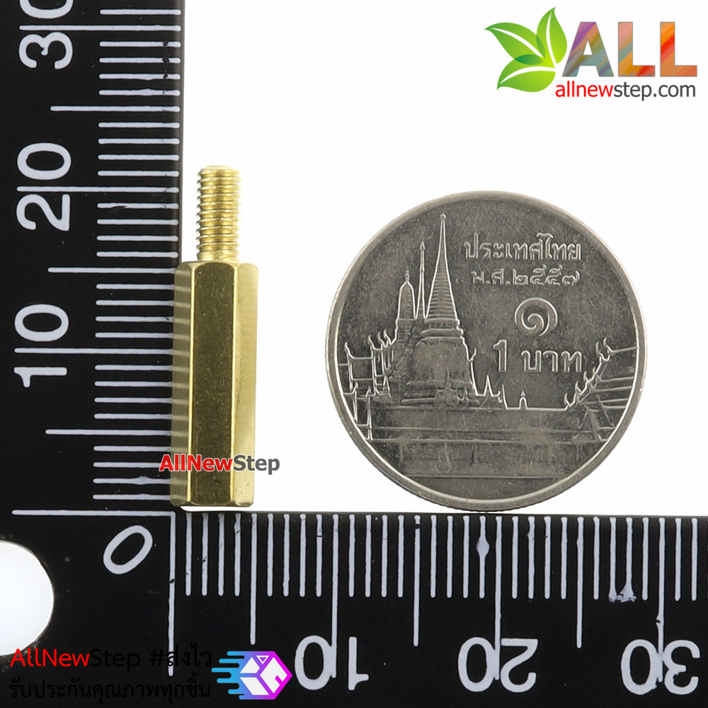 ชุดน็อต+สกรู M3 Pack Nut screw copper column 6+6 10+6 15+6 M3 nut 3x6 screw 6MM hollow 10MM hollow