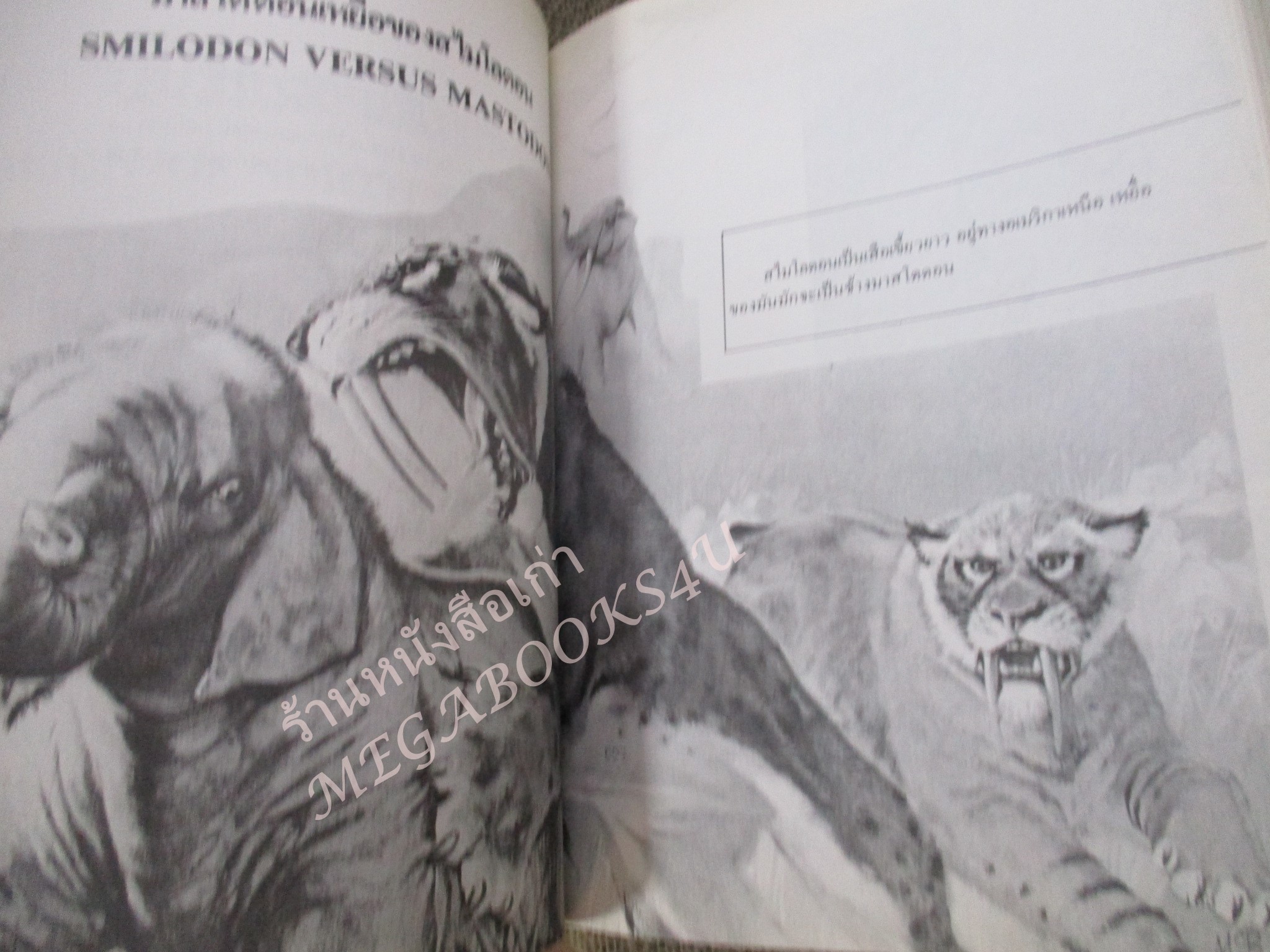 โลกยุคดึกดำบรรพ์ / โรงเรียนส่งเสริมวิชาชีพฯ / สภาพดี / แผ่นรองปกมีคราบน้ำนิด