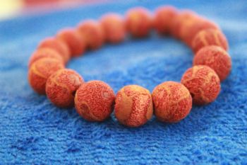 ปะการัง ( Coralliun Rubrun Coral )