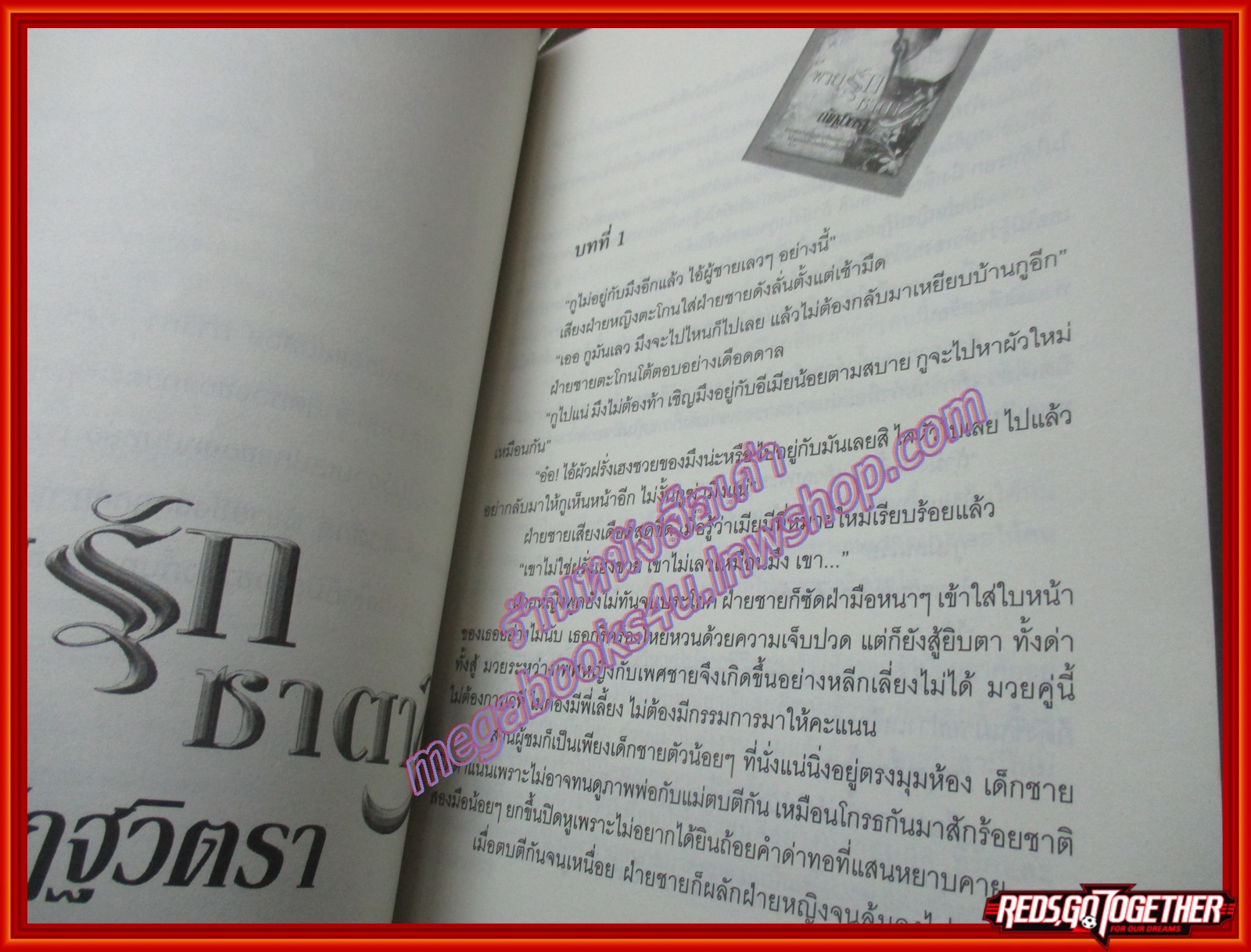 นิยาย พายุรักซาตาน โดย ณัฏฐวิตรา สนพ. venus plus (มือสอง) (สภาพ85-95%) นิยาย18+