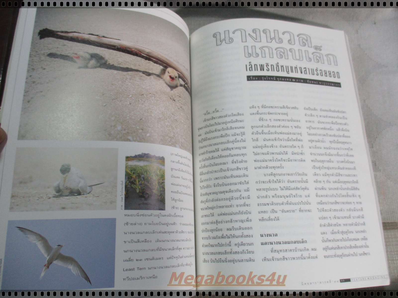 นิตยสารสารคดี ฉบับที่129 พฤศจิกายน 2538;สุริยุปราคา2538,นางนาวแกลบเล็ก,เขื่อนแก่งเสือเต้น,จังหวัดมหาสารคาม