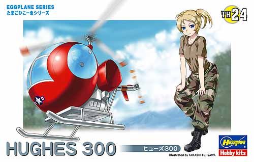 Hughes 300