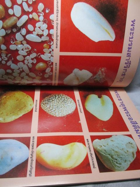 หนังสือประมวลภาพ พระบรมสารีริกธาตุ พระธาตุพระอสีติมหาสาวก พระธาตุพระอรหันตสาวก