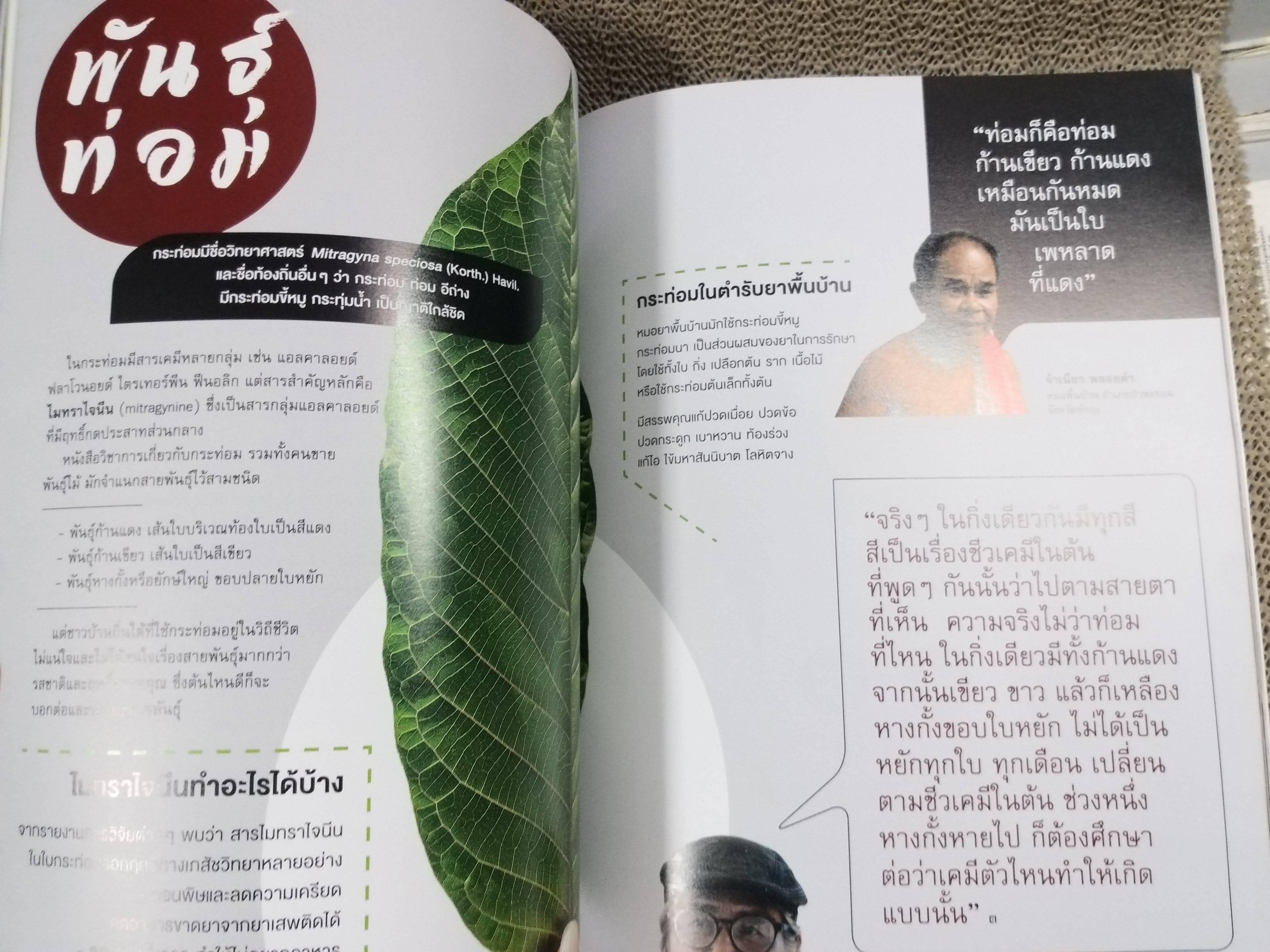 นิตยสารสารคดี ฉบับที่444 ปี2565 กระท่อม กัญชา / พันธ์กระท่อม กัญชา