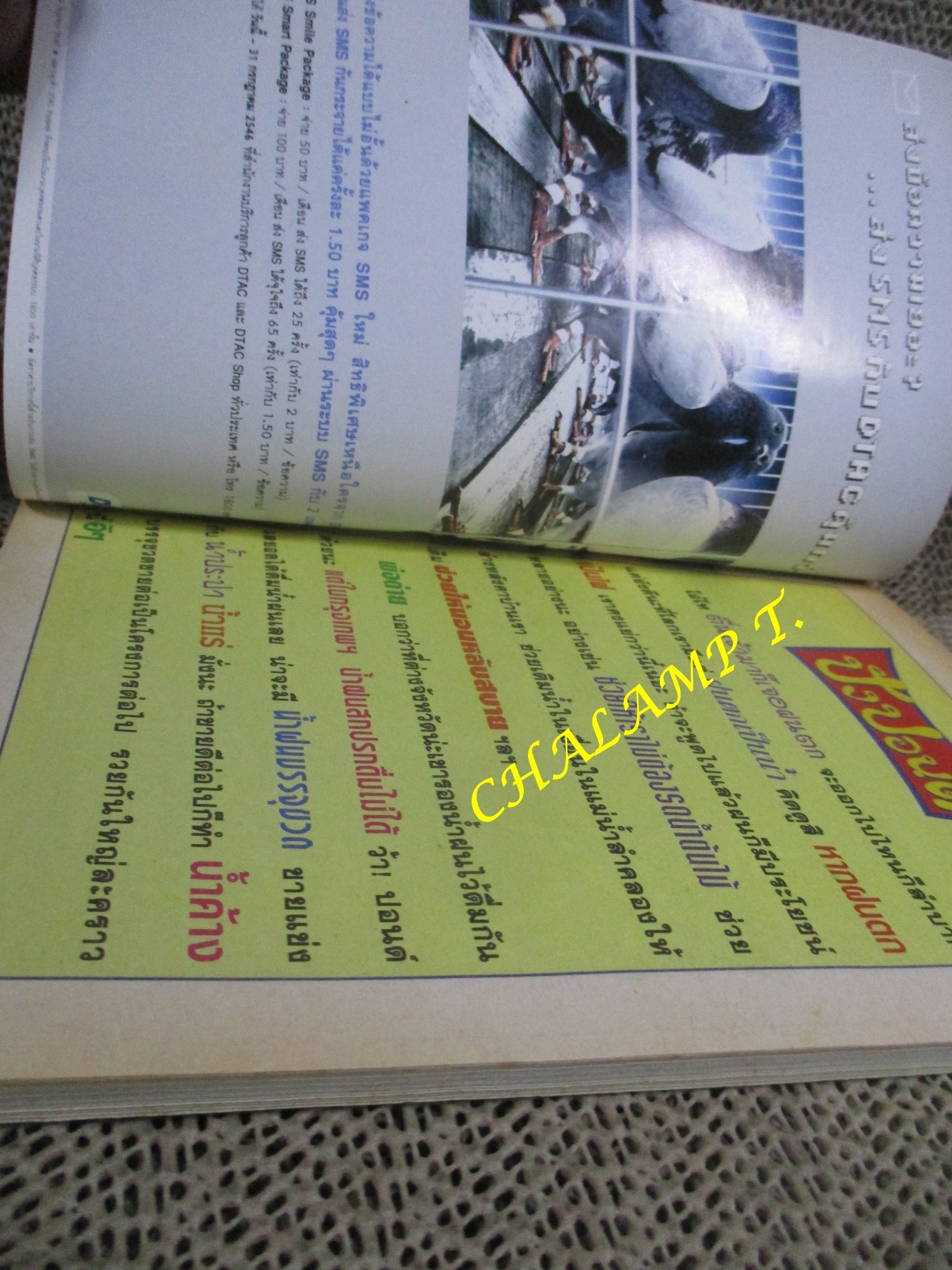 ไอ้ตัวเล็ก / ปังปอนด์ โดยต่าย ฉบับที่127 ปก12 บาท