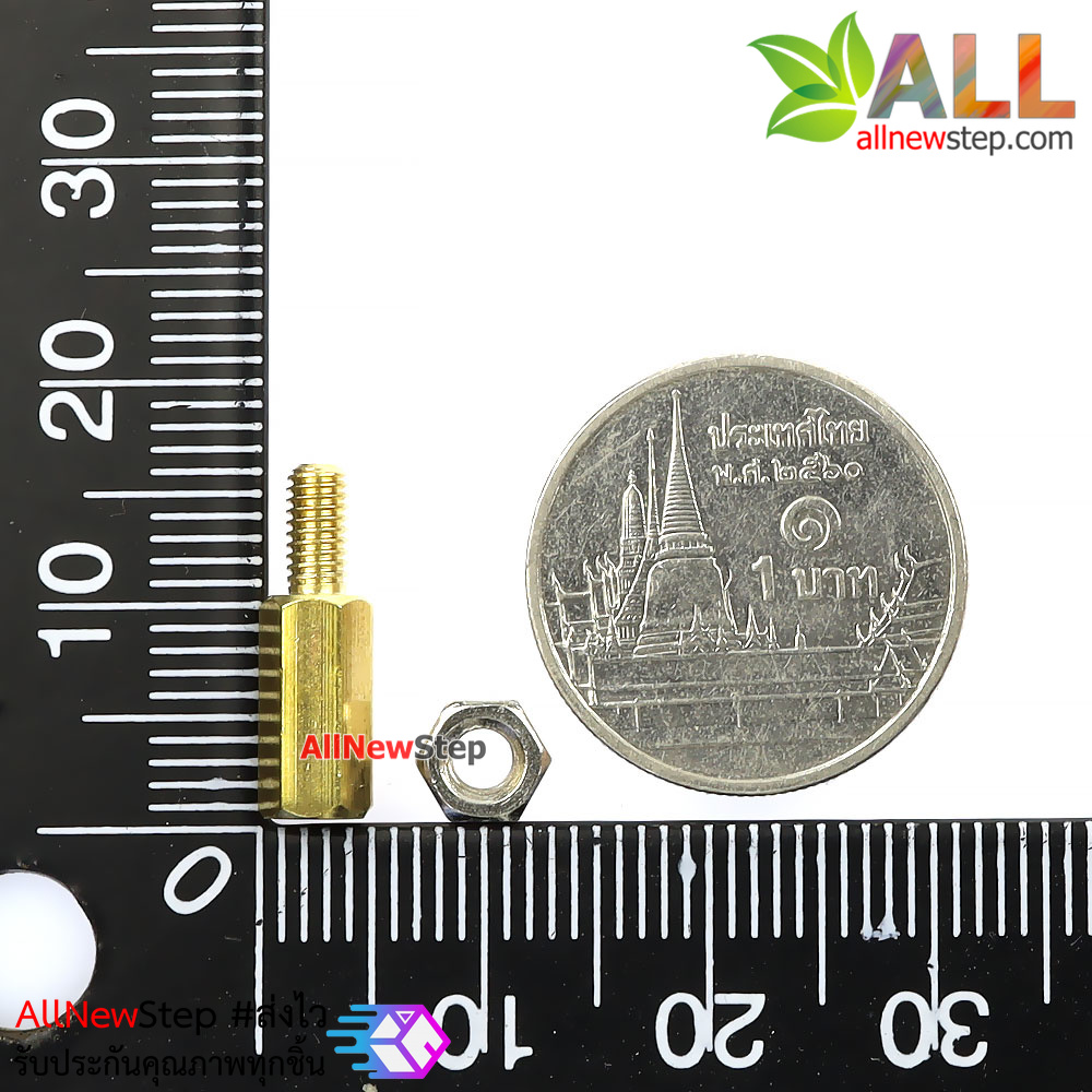 น็อตทองเหลืองตัวผู้และตัวเมีย 3mm 10+6mm Pillars Nut M3 10 คู่