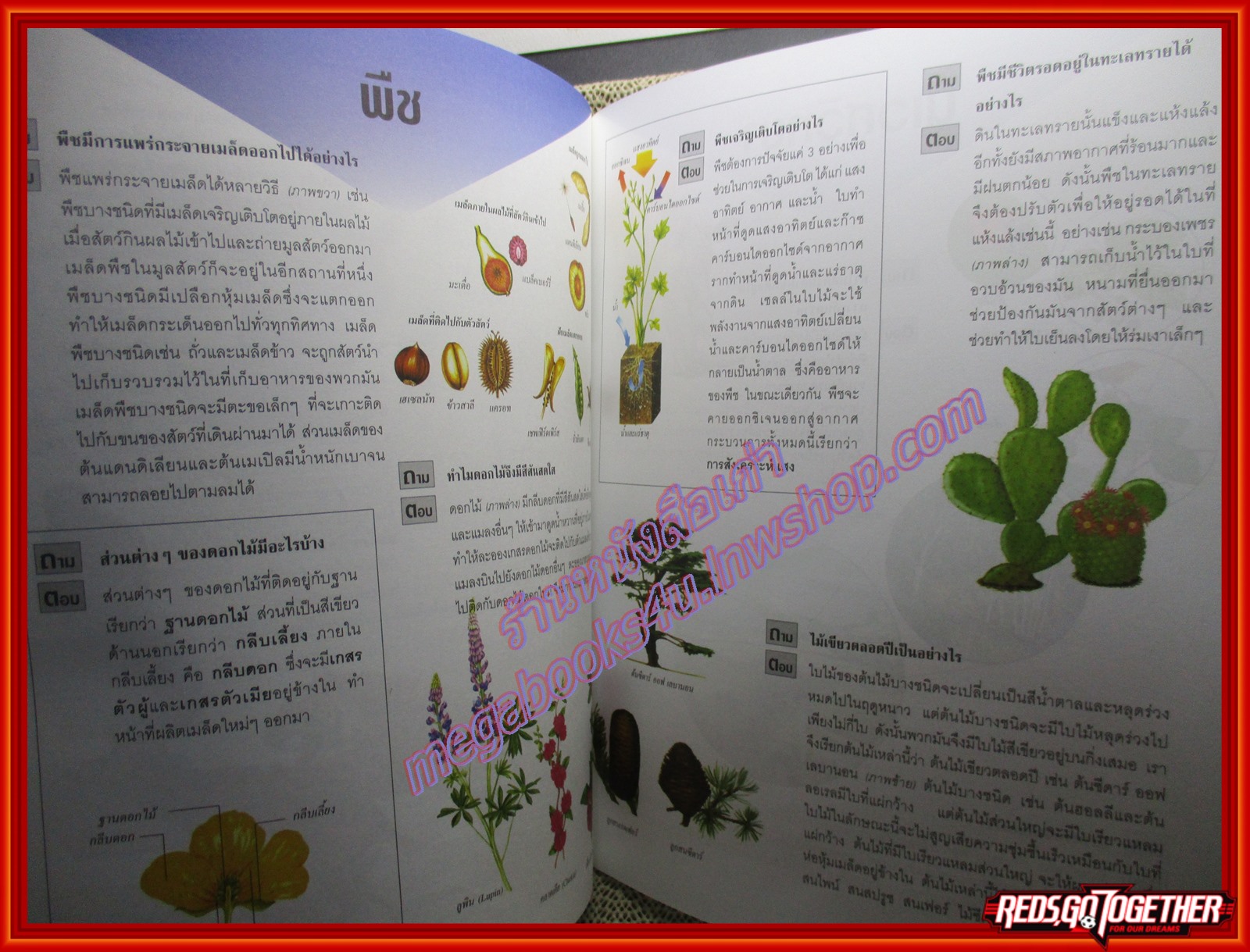 หนังสือ โลกและอวกาศ