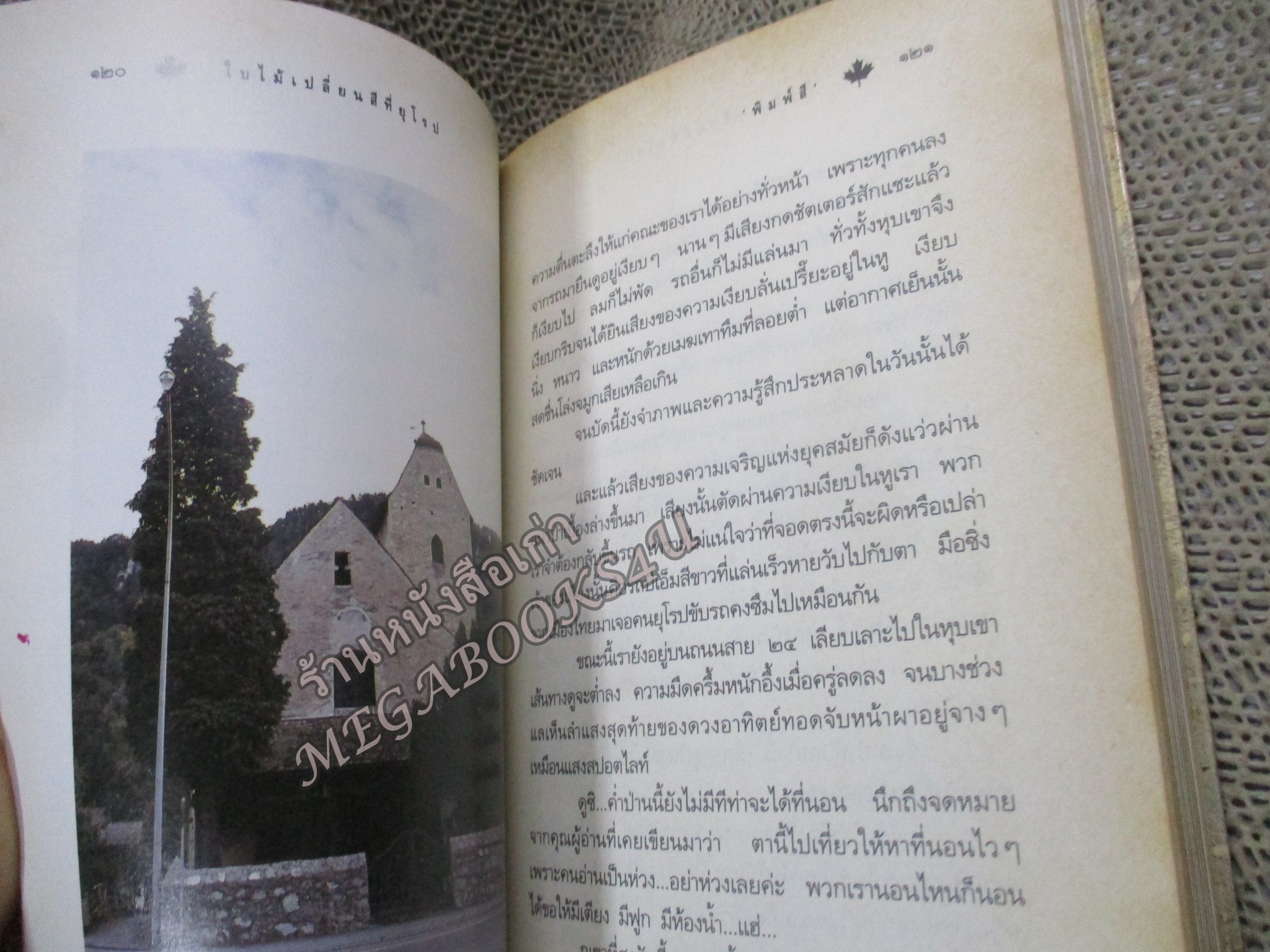 ใบไม้เปลี่ยนสีที่ยุโรป / พิมพ์สี / แพรว / รูปเล่มดี สันกระดาษเปื้อนฝุ่นเล็กน้อย (สารคดีท่องเที่ยว)