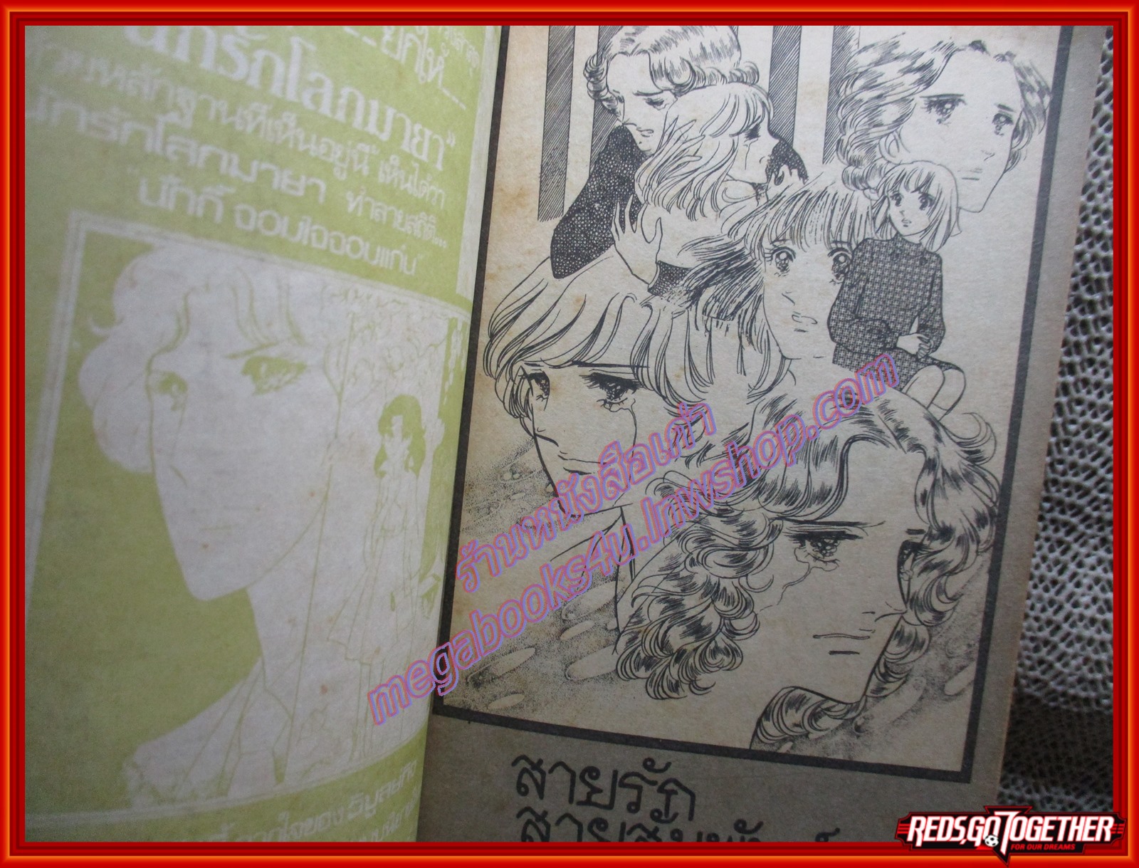 การ์ตูนบ้าน สายรักสายสัมพันธ์ เล่มเดียวจบ