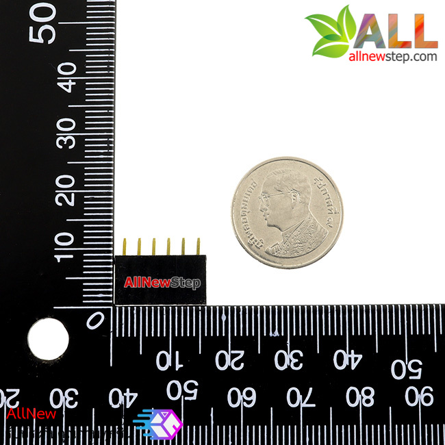 2.54mm 1X6 6Pin Gold-plated Single Row Straight Female Pin Header