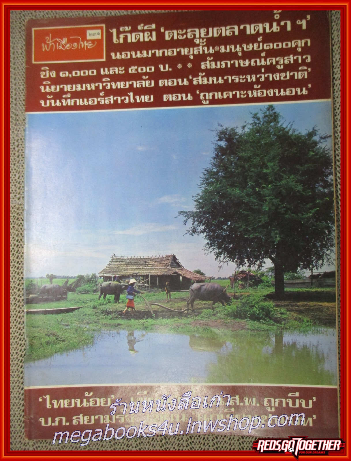 นิตยสารฟ้าเมืองไทย ฉบับ231 ปี2516 ปก กลิ่นโคลน สาบควาย มีงานเขียนของ รงค์ วงษ์สวรรค์