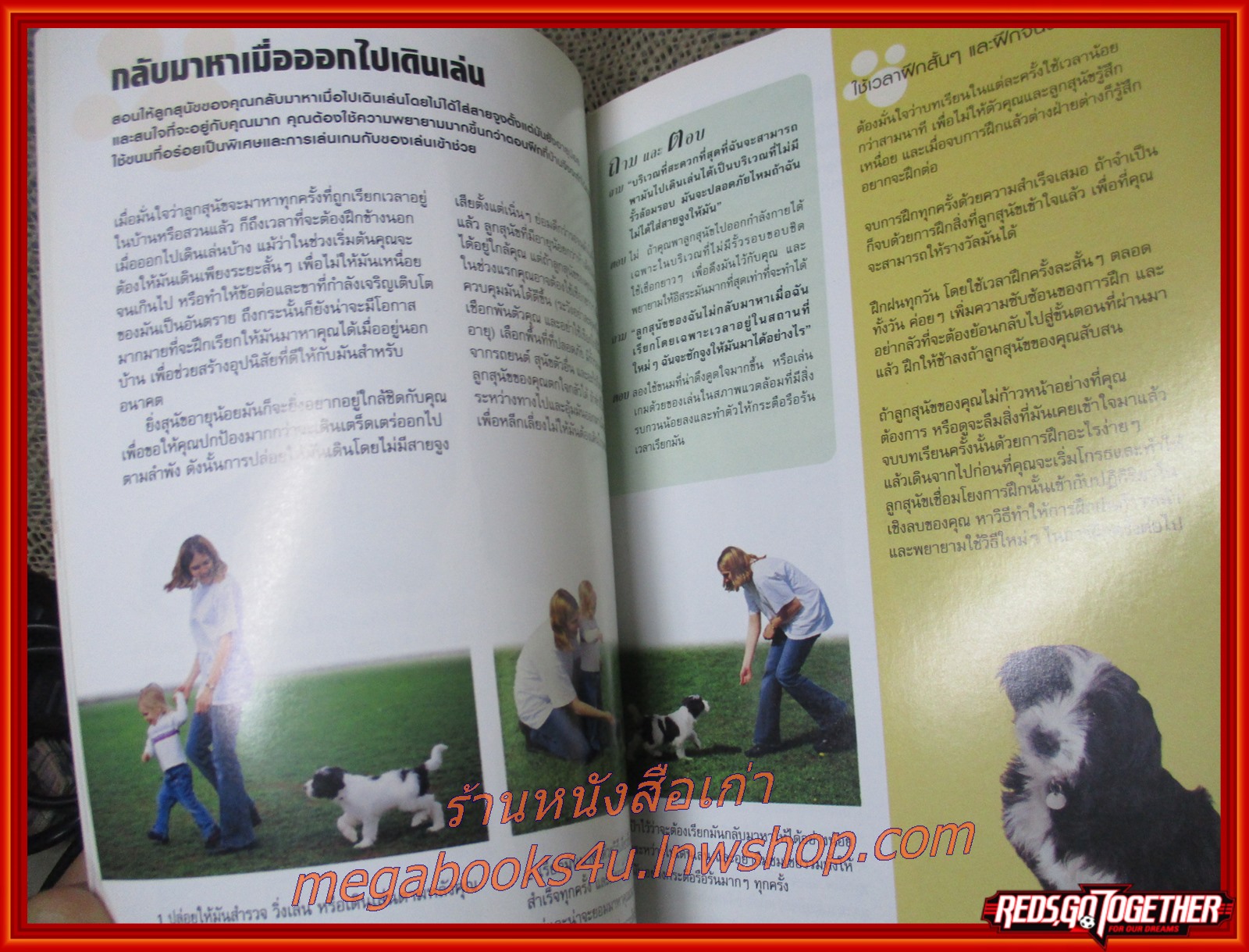 โรงเรียนลูกสุนัข / Gwen Bailey / แง่มุมเกี่ยวกับการฝึกลูกสุนัขให้เชื่อฟังคำสั่งโดยวิธีการบวกที่อ่อนโยน แลใช้ได้กับลูกสุนัขทุกวัย