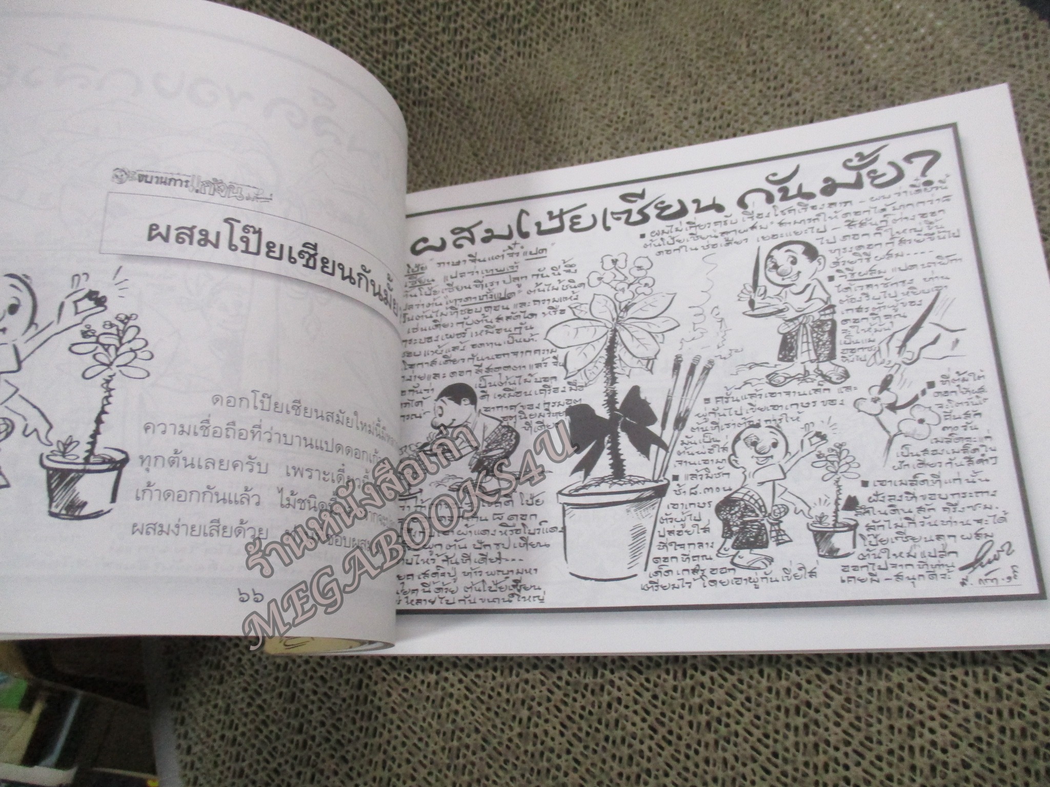 ขบวนการแก้จน เล่ม03 ปลูกต้นไม้แก้จน พิมพ์3 นายศุขเล็ก ประยูร จรรยาวงษ์ (หนังสือบ้าน มือสอง) (สภาพ85-95%)