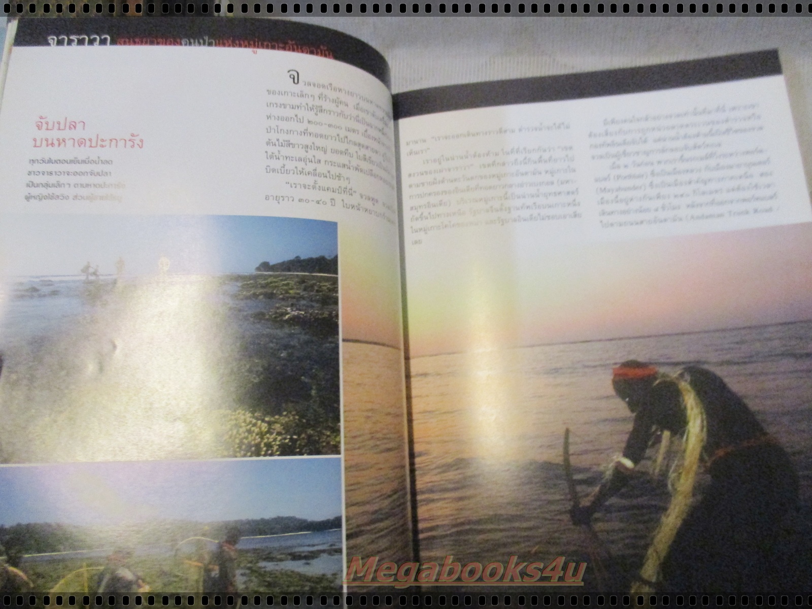 นิตยสารสารคดี ฉบับที่239 ปี2548 สึนามิในไทย จาราวา นกอ้ายงั่ว