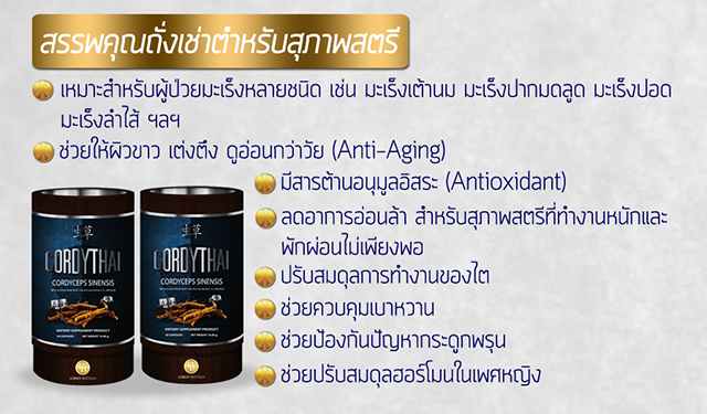 CordyThai ถั่งเช่า คอร์ดี้ไทย