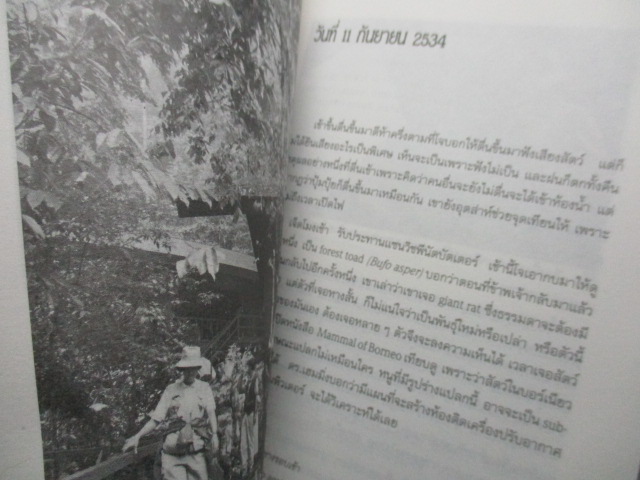 ป่าสูงน้ำใส พระราชนิพนธ์ ใน สมเด็จพระเทพรัตนราชสุดฯ สยามบรมราชกุมารี