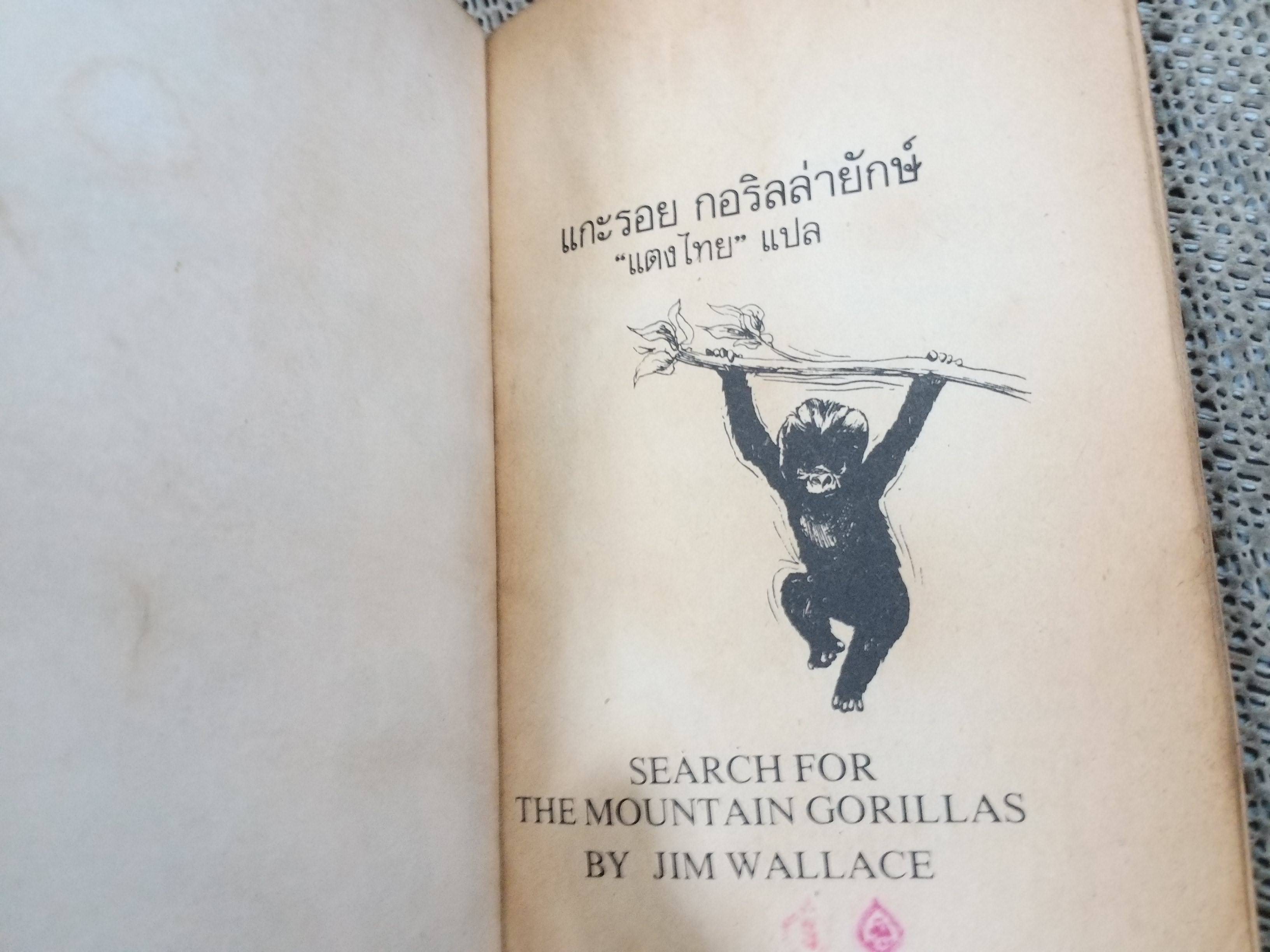 แกะรอย กอริลล่ายักษ์ /แตงไทย แปล /