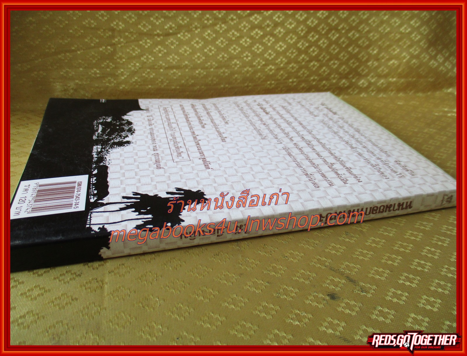 หนามยอกหนามบ่ง /ไม้ เมืองเดิม / สนพ. ไพลิน