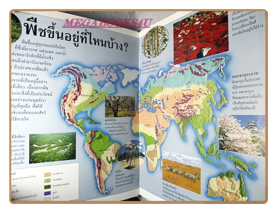 หนังสือมือสอง หนังสือเด็กรักลูก ห้องสมุดแสนสนุก เรื่อง เรื่องของพืช