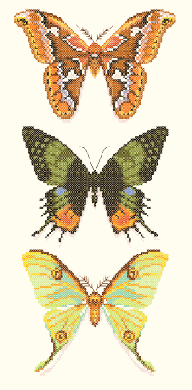 Nattee ชุดปัก 3 Butterflies