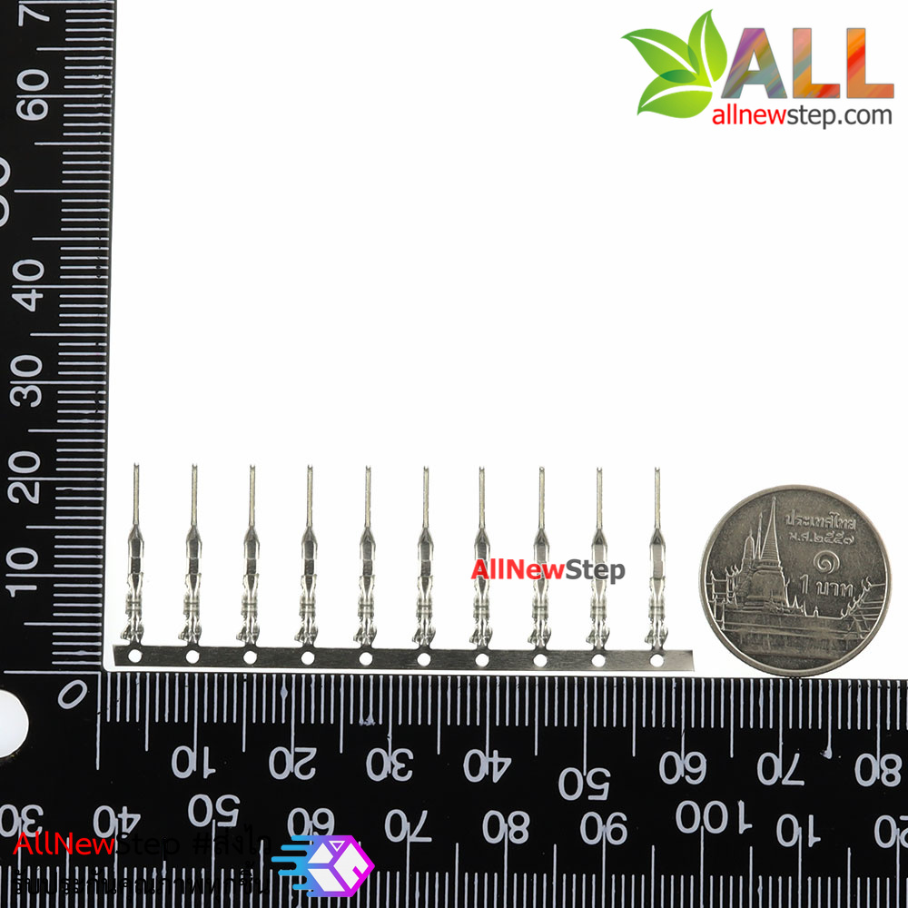 Dupont male terminal 2.54mm ไส้ไก่ ตัวผู้ จำนวน 10 ชิ้น