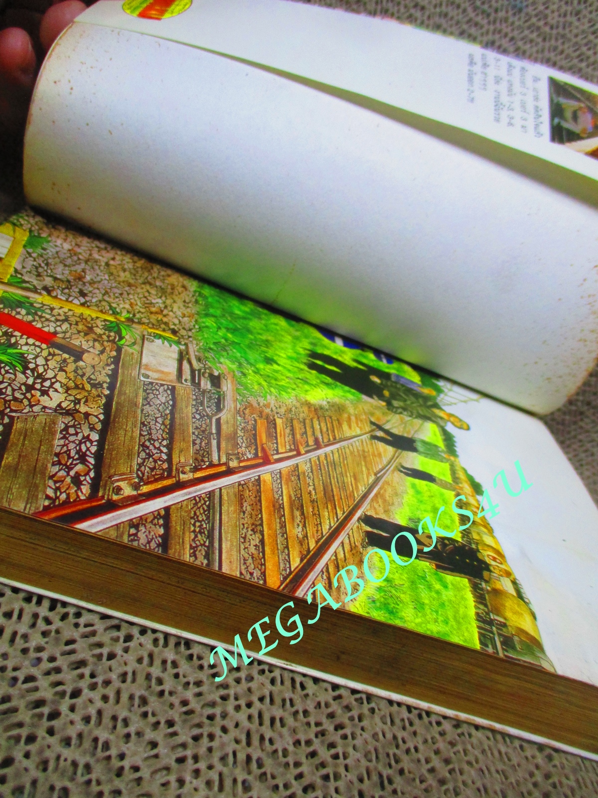 การ์ตูนบ้าน เรียกเขาว่าอีกา เล่ม23 โดยฮิโรชิ ทาคาฮาชิ สนพ.วิบูลย์กิจ (ครบชุด26เล่มจบ) ตัวหนังสือมุมบนมีคราบดำ