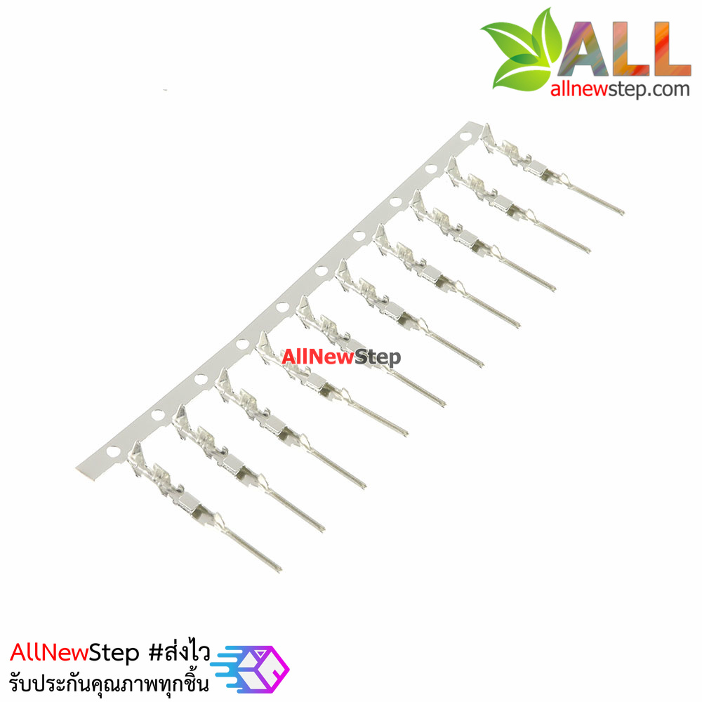 Dupont male terminal 2.54mm ไส้ไก่ ตัวผู้ จำนวน 10 ชิ้น